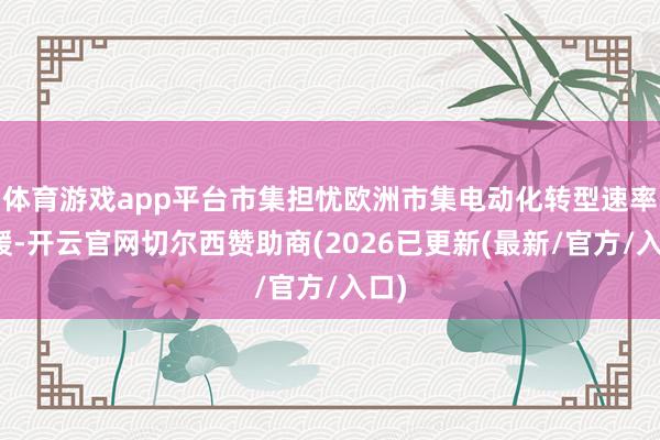 体育游戏app平台市集担忧欧洲市集电动化转型速率放缓-开云官网切尔西赞助商(2026已更新(最新/官