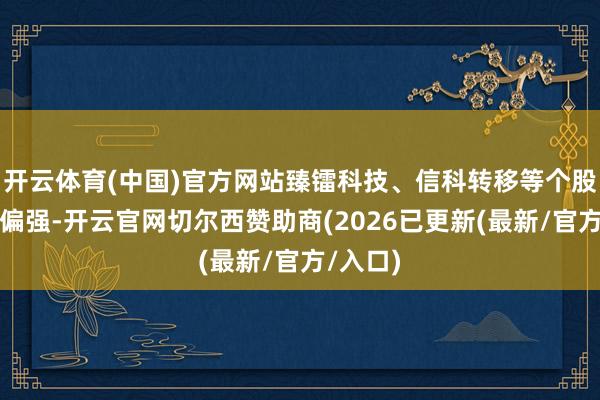 开云体育(中国)官方网站臻镭科技、信科转移等个股进展也偏强-开云官网切尔西赞助商(2026已更新(最新/官方/入口)