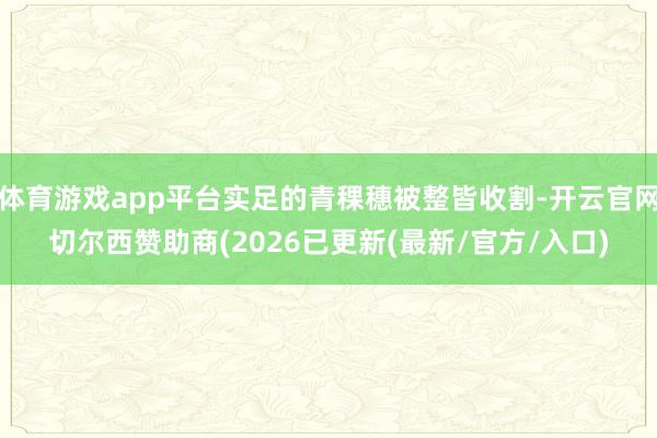 体育游戏app平台实足的青稞穗被整皆收割-开云官网切尔西赞助商(2026已更新(最新/官方/入口)